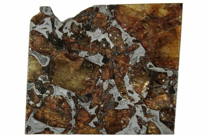 Brahin Pallasite Meteorite ( g) Slice - Belarus #307416